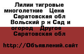 Лилии тигровые, многолетние › Цена ­ 50 - Саратовская обл., Вольский р-н Сад и огород » Другое   . Саратовская обл.